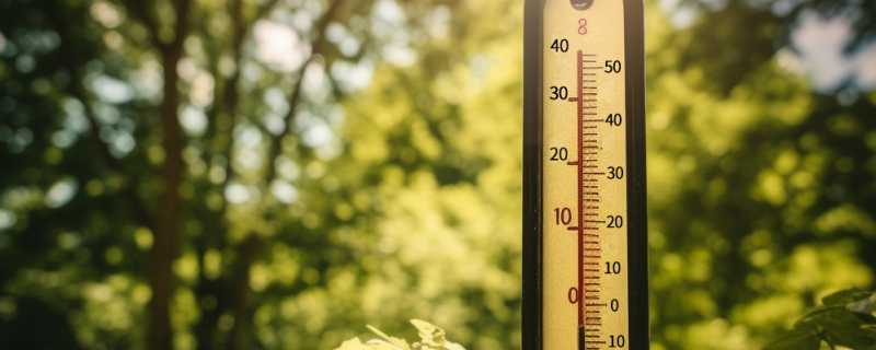 风寒和湿寒有什么区别 天气的风寒和湿寒怎么区分插图 风寒和湿寒有什么区别 天气的风寒和湿寒怎么区分