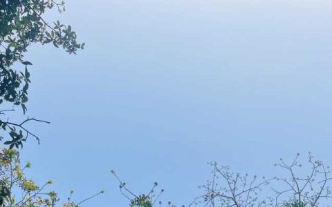 今日河北部分地区有雷雨天气  明日风力较大出行注意防风