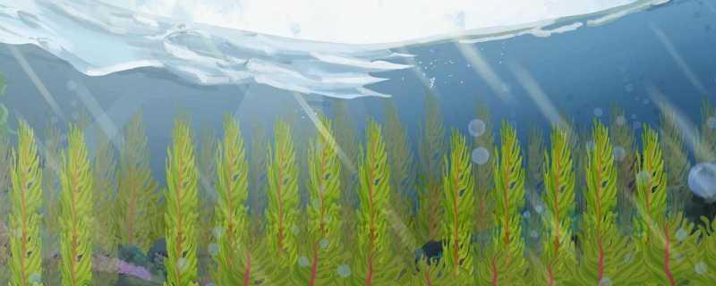 生物监测的基本要求 生物监测发展现状