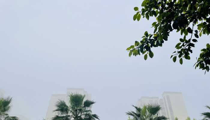 受较强冷空气影响北方地区将有大风降温 南方地区近期雨水频繁