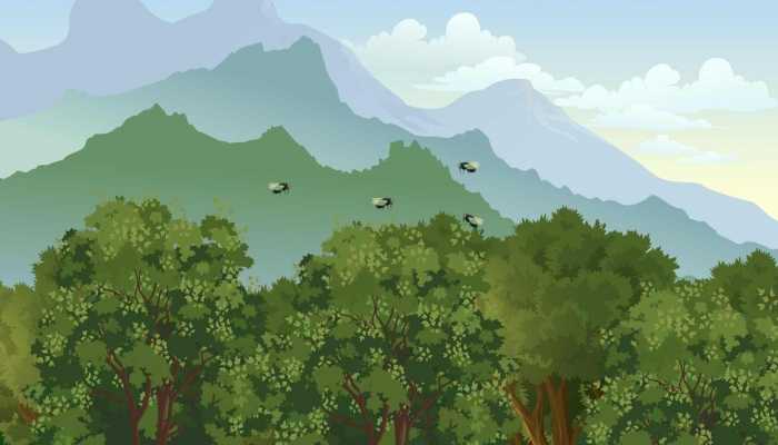 森林质量下降是什么意思 森林质量下降的原因插图1 森林质量下降是什么意思 森林质量下降的原因