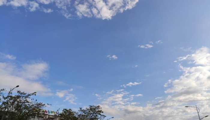 森林面积锐减的危害 森林面积锐减的原因插图1 森林面积锐减的危害 森林面积锐减的原因