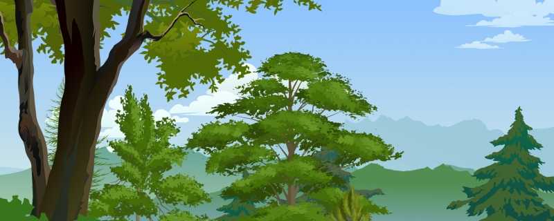 世界森林的地理分布有哪些 世界森林主要分布在什么纬度