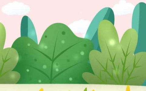 植物的基本类群是什么 植物的基本类群有哪些