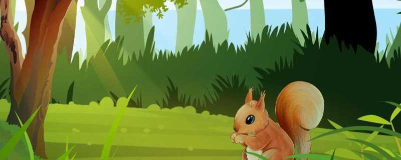 森林动物资源的利用和保护 动物资源主要包括什么