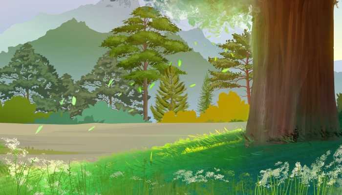 森林对动物的影响是什么 森林对动物的好处插图1 森林对动物的影响是什么 森林对动物的好处