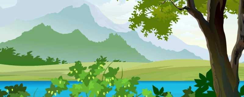 森林对污染物的净化作用 森林污染的危害