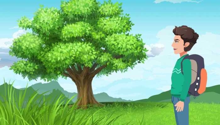 大气污染与森林病虫害的发生 森林病虫害防治的原理和方法插图1 大气污染与森林病虫害的发生 森林病虫害防治的原理和方法