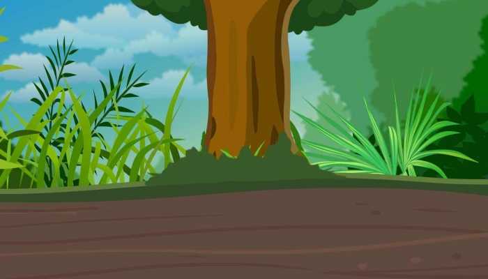 亚洲气候变暖速度高于全球平均水平 去年是气候灾害影响最严重的地区插图1 亚洲气候变暖速度高于全球平均水平 去年是气候灾害影响最严重的地区