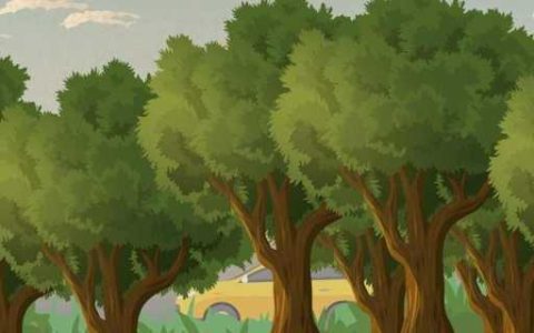 营林防火措施有哪些 防止森林火灾发生的措施