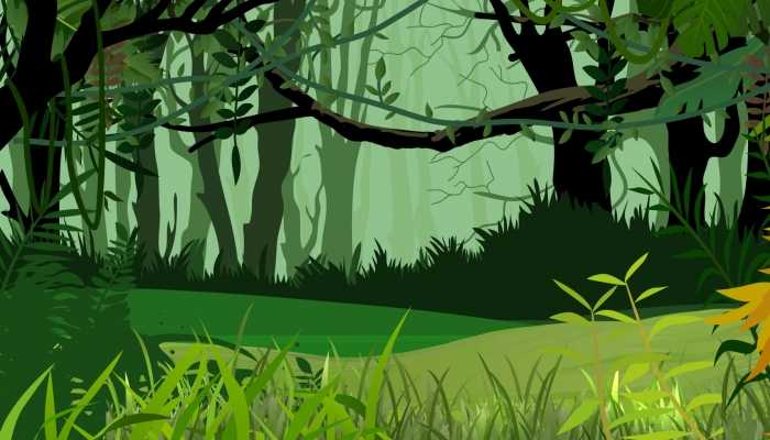 实现我国林业可持续发展的途径 我国林业可持续发展理论的发展阶段