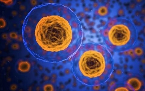 重大发现！南京大学科学家揭示“返老还童”因子