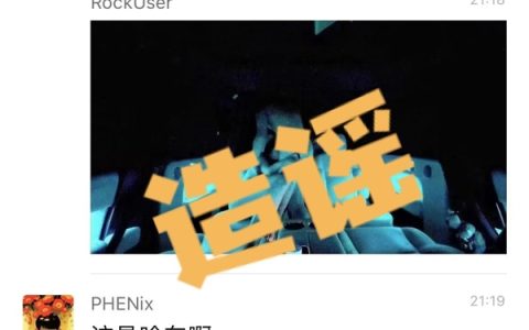 传理想MEGA车内摄像头拍摄情色图 法务部：移花接木、网络谣言