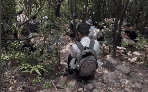 深圳七娘山有人爬山时猝死：现场急救也没救过来