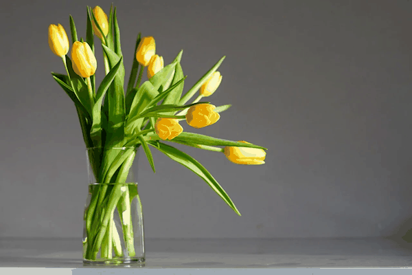 防过敏神器氯雷他定火了 医生提醒：建议晚上睡觉时吃