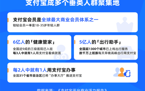 支付宝发布首份商业活力报告：已成各大垂类人群聚集地