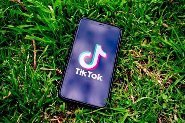 TikTok“不卖就禁”再进一步：美参议院压倒性通过法案