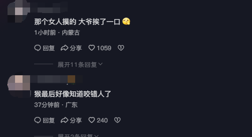 大妈摸猴子屁股致旁边大爷被咬伤引热议 网友：大爷扛下所有