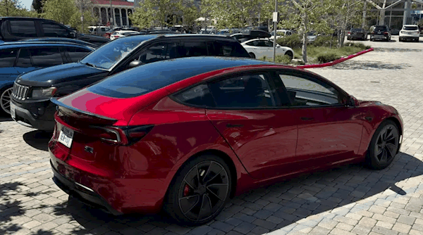 赛车桶椅+碳纤维饰板!新款特斯拉Model 3高性能版内饰曝光插图3 赛车桶椅+碳纤维饰板!新款特斯拉Model 3高性能版内饰曝光