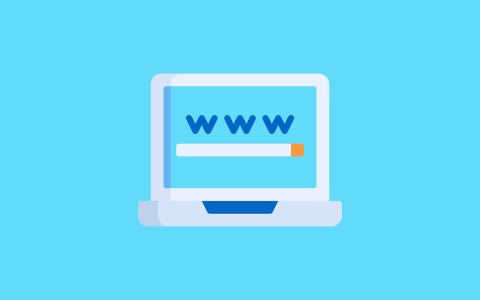 一级域名和顶级域名有什么区别