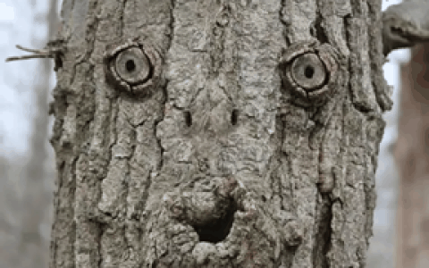 看什么都像人脸：我是不是生病了