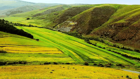 2023年十一国庆内蒙古温度一般是多少?国庆去内蒙古穿什么衣服合适