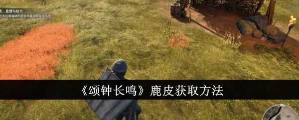 《颂钟长鸣》鹿皮获取方法