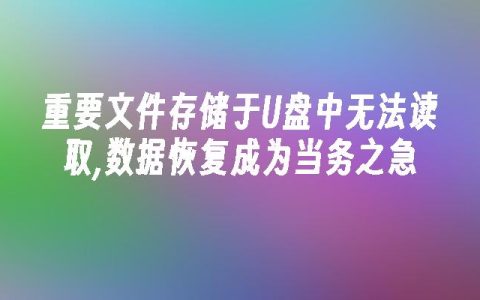 重要文件存储于U盘中无法读取,数据恢复成为当务之急