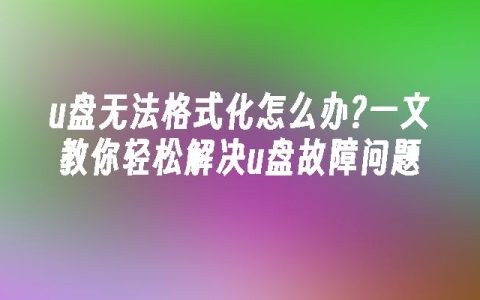 u盘无法格式化怎么办?一文教你轻松解决u盘故障问题