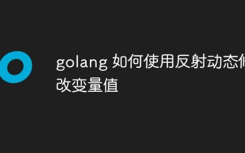golang 如何使用反射动态修改变量值