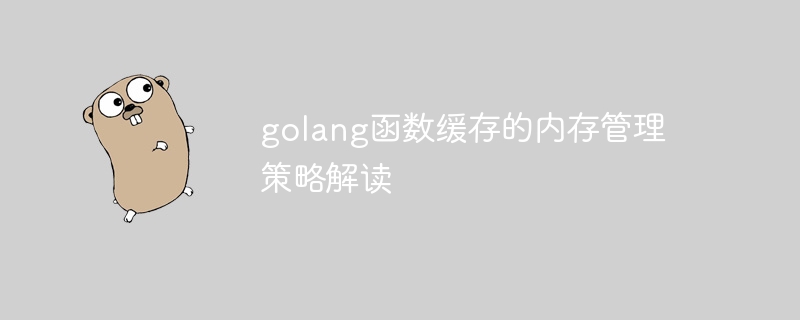 golang函数缓存的内存管理策略解读