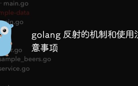 golang 反射的机制和使用注意事项