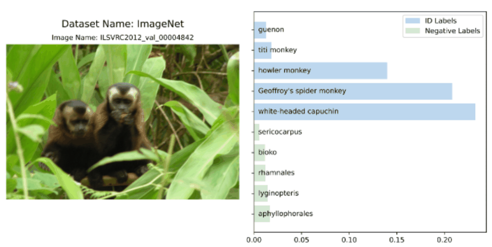 ICLR 2024 Spotlight | 负标签挖掘助力基于CLIP的分布外检测任务