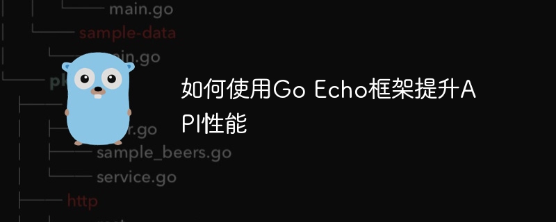 如何使用Go Echo框架提升API性能
