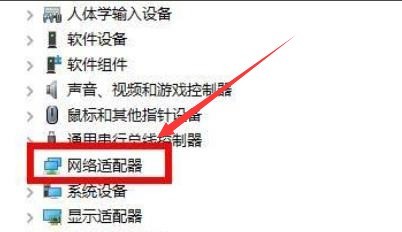 Windows11显卡驱动怎么重新安装?Windows11显卡驱动重新安装操作步骤插图2 Windows11显卡驱动怎么重新安装_Windows11显卡驱动重新安装操作步骤