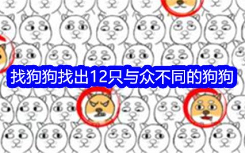 《就我眼神好》找狗狗找出12只与众不同的狗狗通关攻略
