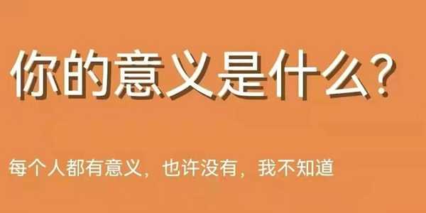 你的意义是什么测试入口