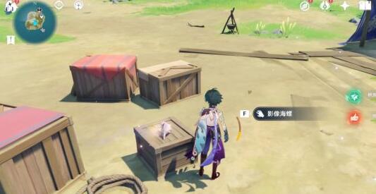 原神双双岛幻境海螺位置介绍插图4 原神双双岛幻境海螺位置介绍