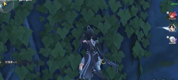 《鸣潮》灯笼果采集路线插图3 《鸣潮》灯笼果采集路线