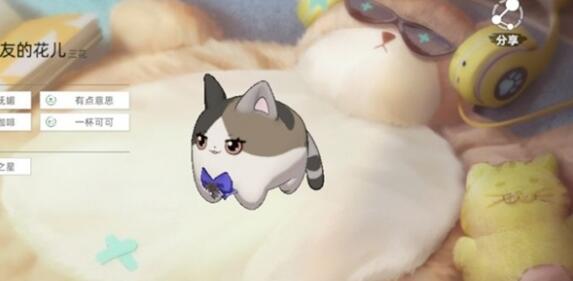 猫之城猫球训练方法插图 猫之城猫球训练方法