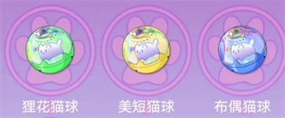 猫之城猫球训练方法插图1 猫之城猫球训练方法