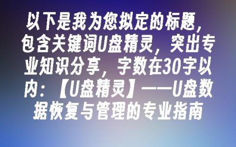 【U盘精灵】——U盘数据恢复与管理的专业指南