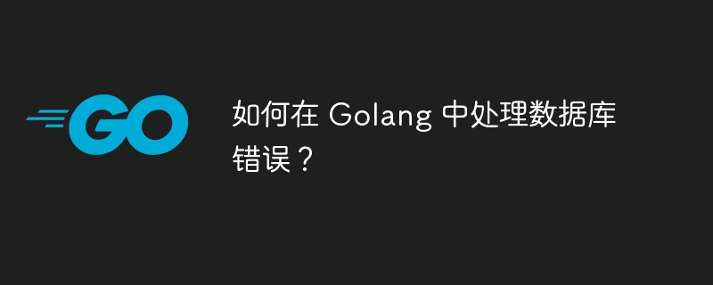 如何在 Golang 中处理数据库错误?插图 如何在 Golang 中处理数据库错误?