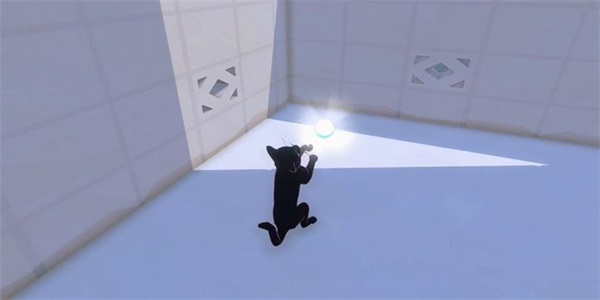 《小猫咪大城市》鲭鱼帽获取攻略