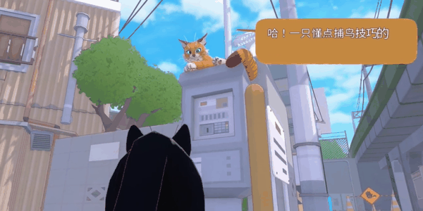 小猫咪大城市伸个大懒腰动作怎么获得