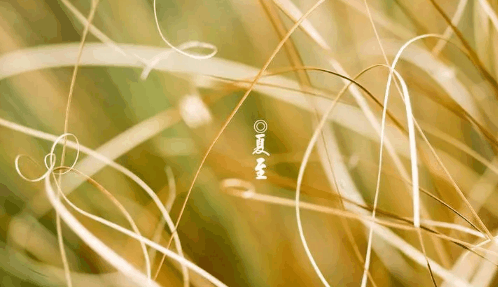 2024年夏至后雨水会多吗?夏至后天气有什么变化