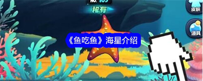 《鱼吃鱼》海星介绍