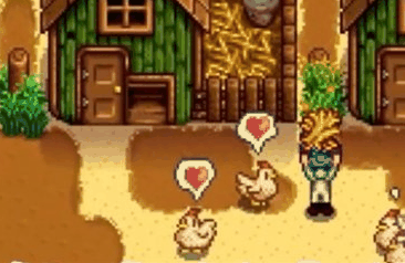 星露谷物语怎么喂鸡插图 星露谷物语怎么喂鸡