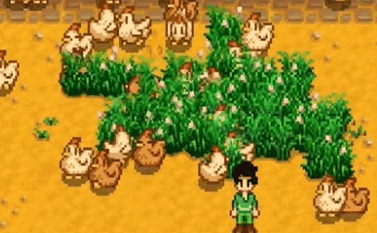 星露谷物语养鸡有哪些技巧插图 星露谷物语养鸡有哪些技巧