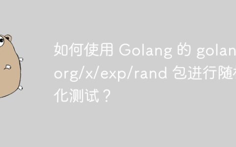 如何使用 Golang 的 golang.org/x/exp/rand 包进行随机化测试？